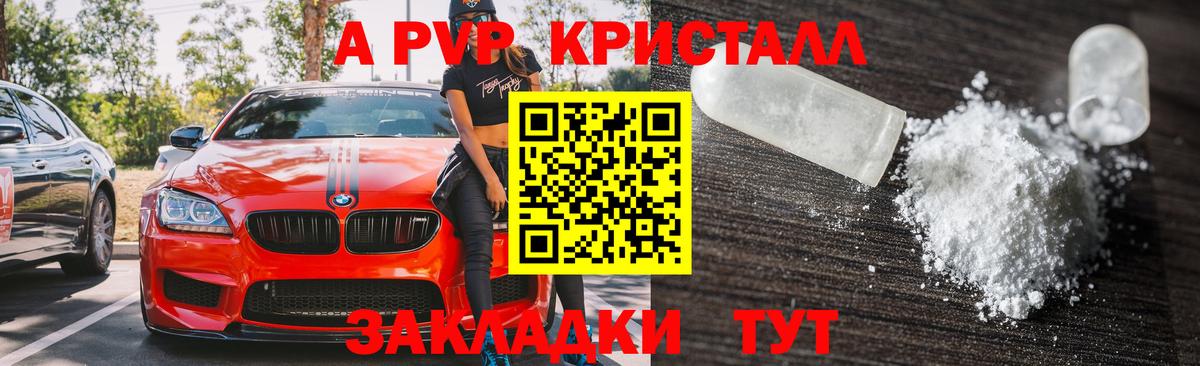 A PVP СК Россия