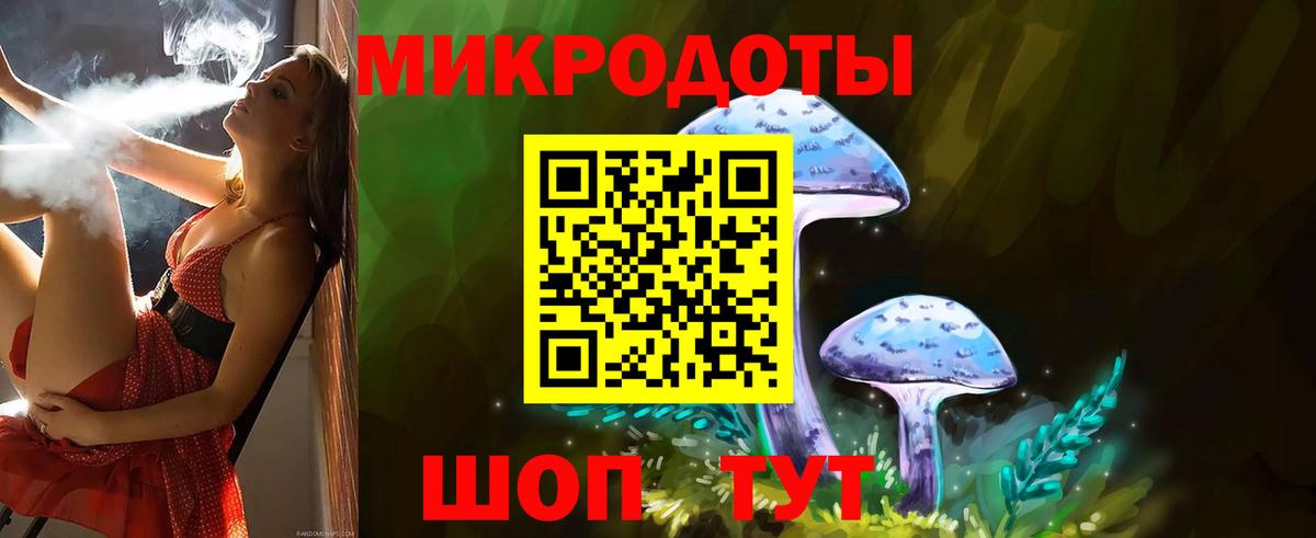 Галлюциногенные грибы прущие грибы Россия
