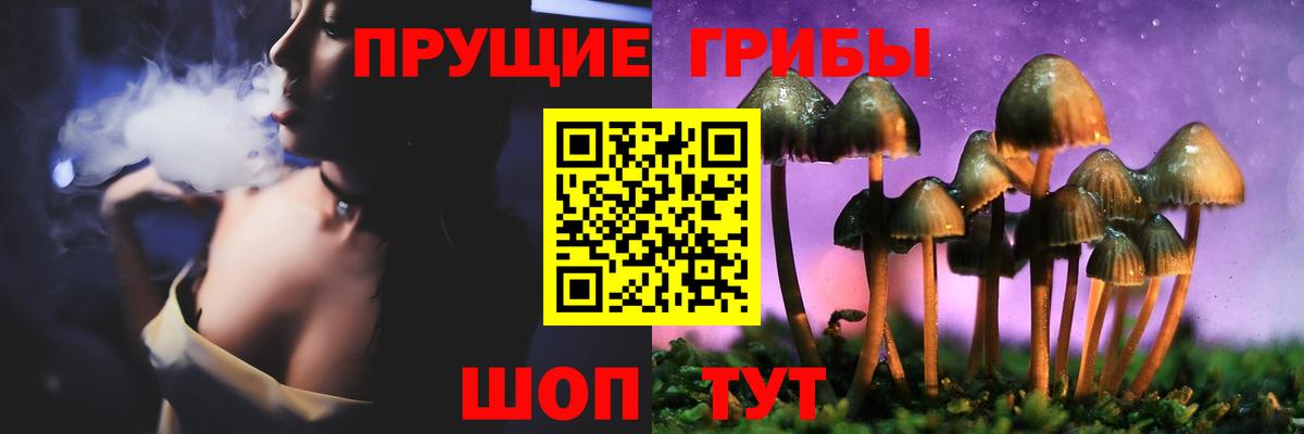 Галлюциногенные грибы GOLDEN TEACHER  Галлюциногенные грибы мухоморы  Россия  Вход с VPN 